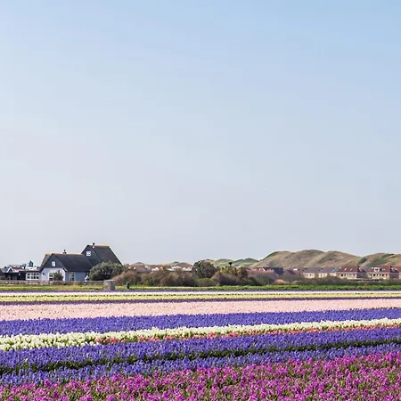 Duyngans - Aan Zee Vakantiehuis *